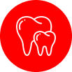 Tooth icon representing safe dental treatment and gum care during the second trimester of pregnancy